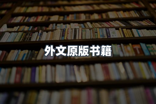 海外电子书